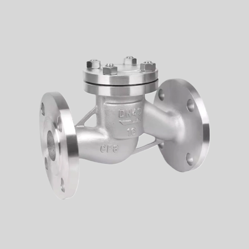 Stainless steel and carbon steel check valves