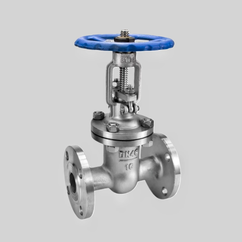 Stainless steel and carbon steel gate valves